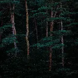 چاپ قاب موبایل و گوشی تصویر زمینه سامسونگ جنگل سبز با کیفیت اچ دی و رزولوشن عالی