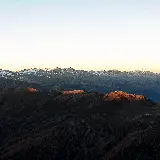 چاپ قاب موبایل و گوشی خرید پوستر دیواری شنل قرمزی در جنگل با قیمت ارزان