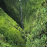 چاپ قاب موبایل و گوشی چاپ تخته شاسی جنگل با کیفیت عالی و بهترین قیمت برای اتاق