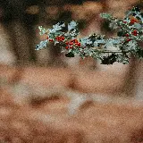 چاپ قاب موبایل و گوشی سفارش تابلو شاسی تمشک های قرمز زمستانی با کیفیت بالا