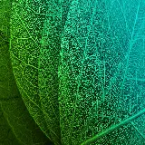 چاپ قاب موبایل و گوشی تصویر پس زمینه برگ سبز دسکتاپ رتینا با کیفیت اچ دی