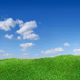 چاپ قاب موبایل و گوشی بک گراند چمن و آسمان با کیفیت اچ دی و ابعاد مناسب برای دسکتاپ