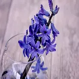 خرید تابلو سنبل با چاپ با کیفیت 4K و قیمت ارزان