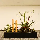 قاب مبایل ایکه بانا برای سامسونگ با چاپ با کیفیت و قیمت مناسب