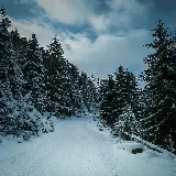 چاپ قاب موبایل و گوشی خرید پوستر دیواری شخص دور در مسیر برفی با کیفیت بالا برای پذیرایی