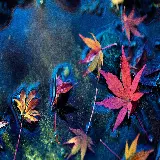 چاپ قاب موبایل و گوشی بک گراند 4K دسکتاپ برگ افرا با کیفیت اولترا اچ دی برای طراحی