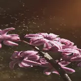 چاپ قاب موبایل و گوشی قاب موبایل سنبل خرید شاسی عکس با قیمت ارزان برای اتاق