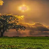 چاپ قاب موبایل و گوشی عکس زمینه موبایل چمن و آسمان با کیفیت 4K و رزولوشن فوق العاده