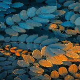 چاپ قاب موبایل و گوشی والپیپر برگ فول اچ دی برای موبایل با کیفیت عالی رایگان