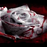 تابلو دیواری Dark Blood طرح تاریک و اسرارآمیز