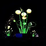 چاپ قاب موبایل و گوشی خرید تابلو جشنواره نور لیون در شب با قیمت ارزان