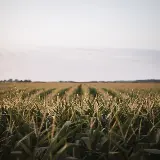 چاپ قاب موبایل و گوشی سفارش تخته شاسی جاده و منظره اوهایو با بهترین قیمت