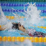 چاپ قاب موبایل و گوشی تصویر زمینه کرال پشت با کیفیت بالا