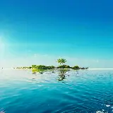 چاپ قاب موبایل و گوشی قاب موبایل سامسونگ جزیره برای چاپ تابلو شاسی با کیفیت بالا