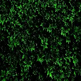 چاپ قاب موبایل و گوشی والپیپر برگ دسکتاپ فول اچ دی با کیفیت عالی 1920x1080