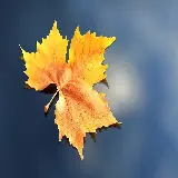 چاپ قاب موبایل و گوشی بک‌گراند برگ 4K با کیفیت اولترا اچ دی و مناسب چاپ