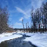 شاسی عکس منظره با قیمت مناسب برای اتاق