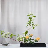 چاپ قاب موبایل و گوشی قاب مبایل ایکه بانا برای سامسونگ با چاپ با کیفیت و قیمت ارزان