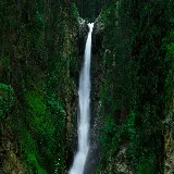 چاپ قاب موبایل و گوشی تابلو دیواری جنگل سبز برای دو صفحه با چاپ با کیفیت بالا