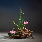 تابلو و پوسترهای ایکه بانا برای چاپ و خرید با بهترین قیمت