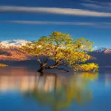 تابلو-پوستر-دریاچه-تصاویر-پس-زمینه-چاپ-خرید-سفارش