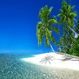 چاپ قاب موبایل و گوشی چاپ تابلو شاسی جزیره با بهترین قیمت و کیفیت برای دکوراسیون