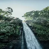 قاب مبایل جنگل برای موبایل با چاپ با کیفیت و قیمت مناسب