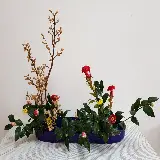 خرید تخته شاسی ایکه بانا با چاپ با کیفیت و قیمت مناسب