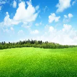 چاپ قاب موبایل و گوشی تصویر زمینه چمن و آسمان با کیفیت اچ دی برای تولید محتوا