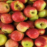 چاپ قاب موبایل و گوشی سفارش چاپ پوستر عکس سیب قرمز تازه با کیفیت عالی