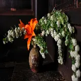 سفارش شاسی عکس ایکه بانا با چاپ با کیفیت و قیمت ارزان