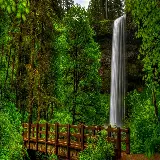 چاپ قاب موبایل و گوشی تصویر زمینه دسکتاپ جنگل سبز با کیفیت فول اچ دی برای دانلود رایگان