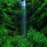 چاپ قاب موبایل و گوشی والپیپر دسکتاپ جنگل سبز با کیفیت 4K و رزولوشن فوق العاده