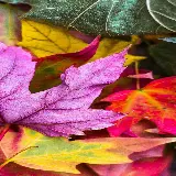 چاپ قاب موبایل و گوشی دانلود والپیپر برگ با کیفیت اچ دی مخصوص صفحه نمایش موبایل