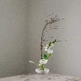 قاب مبایل ایکه بانا برای موبایل با چاپ شخصی و قیمت ارزان