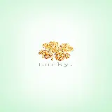 چاپ قاب موبایل و گوشی پوستر دیواری برگ طلا با چاپ حرفه ای برای پذیرایی