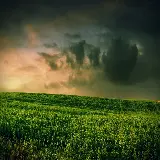 چاپ قاب موبایل و گوشی عکس زمینه دسکتاپ چمن و آسمان با کیفیت اچ دی و دانلود آسان