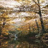 چاپ قاب موبایل و گوشی بک‌گراند منظره با کیفیت اچ دی برای گوشی سامسونگ 1080x2340