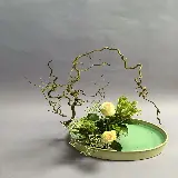 چاپ قاب موبایل و گوشی قاب مبایل ایکه بانا برای آیفون با چاپ شخصی و کیفیت بالا