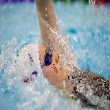 چاپ قاب موبایل و گوشی تصویر پس زمینه کرال پشت برای مانیتورها