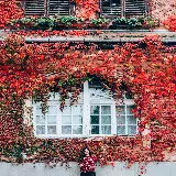 خرید تابلو دکوراتیو تابستان به پاییز فرو ریخت با ارزانترین قیمت برای اتاق خواب