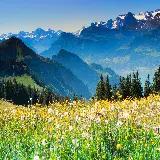خرید تابلو دیجیتال کوهستان سوئیس با ارزانترین قیمت
