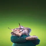 والپیپر موبایل زوتوپیا 2 با کیفیت بالا رایگان برای دانلود آسان