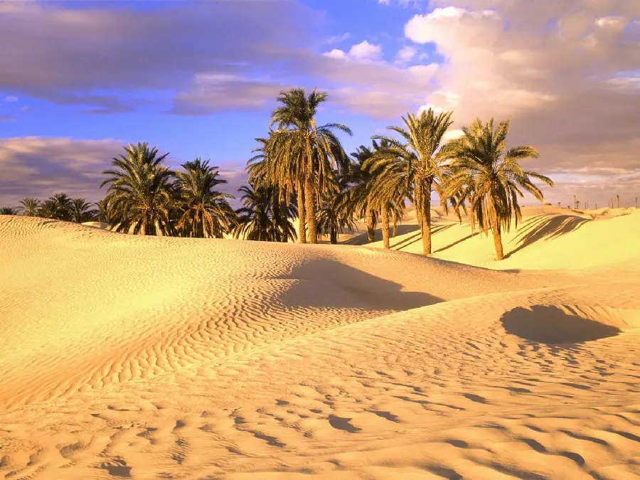 عکس زیبا و دیدنی کویر و صحرا برای تصویر زمینه