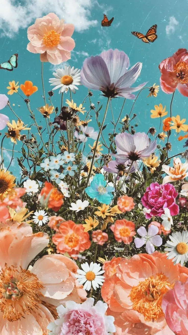 عکس گل و پروانه برای پروفایل واتساپ