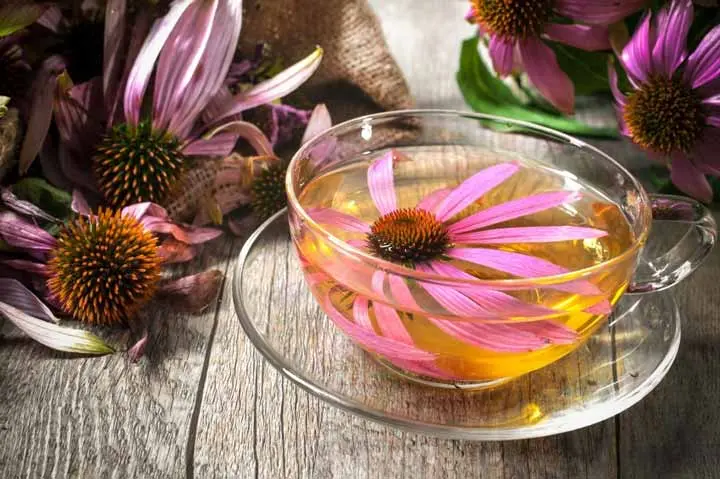 عکس دمنوش سرخارگل با طعم و عطر با کیفیت بالا