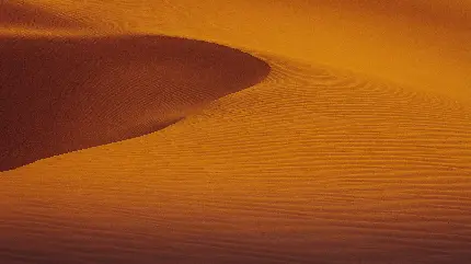 تصویر زمینه زیبا و جذاب از شن های صحرا برای دسکتاپ ویندوز