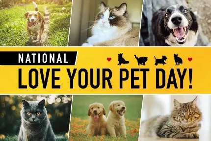 عکس نوشته روز دوست داشتن حیوانات خانگی Love your pet day