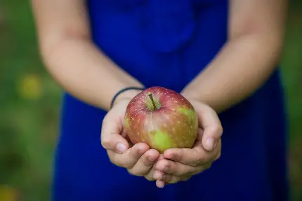 عکس فول اچ دی دختر پیرهن آبی با یک سیب دو رنگ در دستش