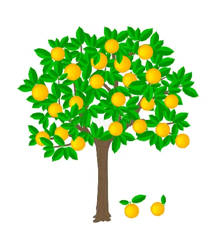 عکس نقاشی درخت پرتقال